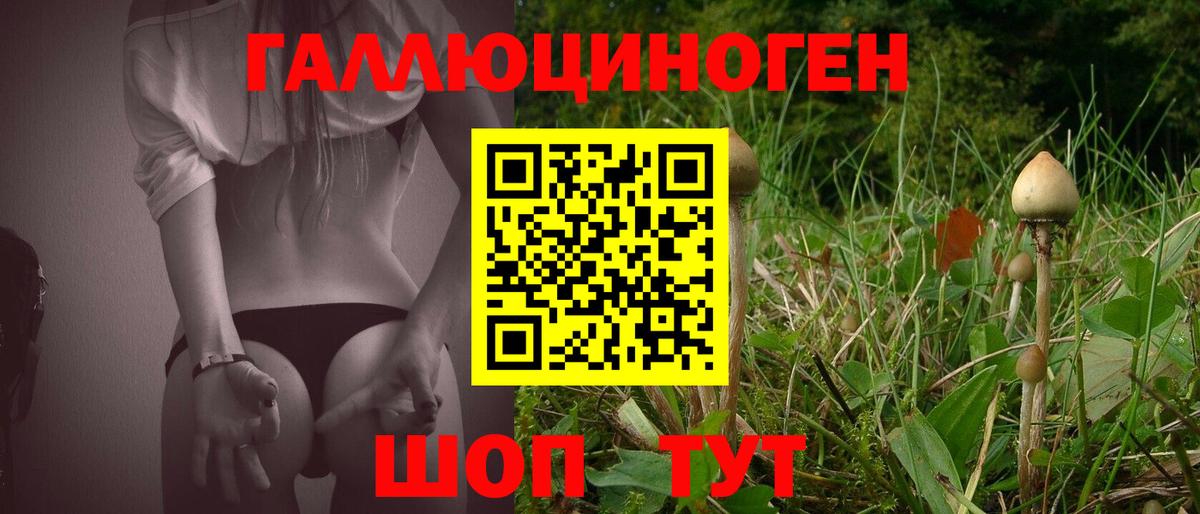 Светлоград  Галлюциногенные грибы Psilocybe  Вход с VPN 